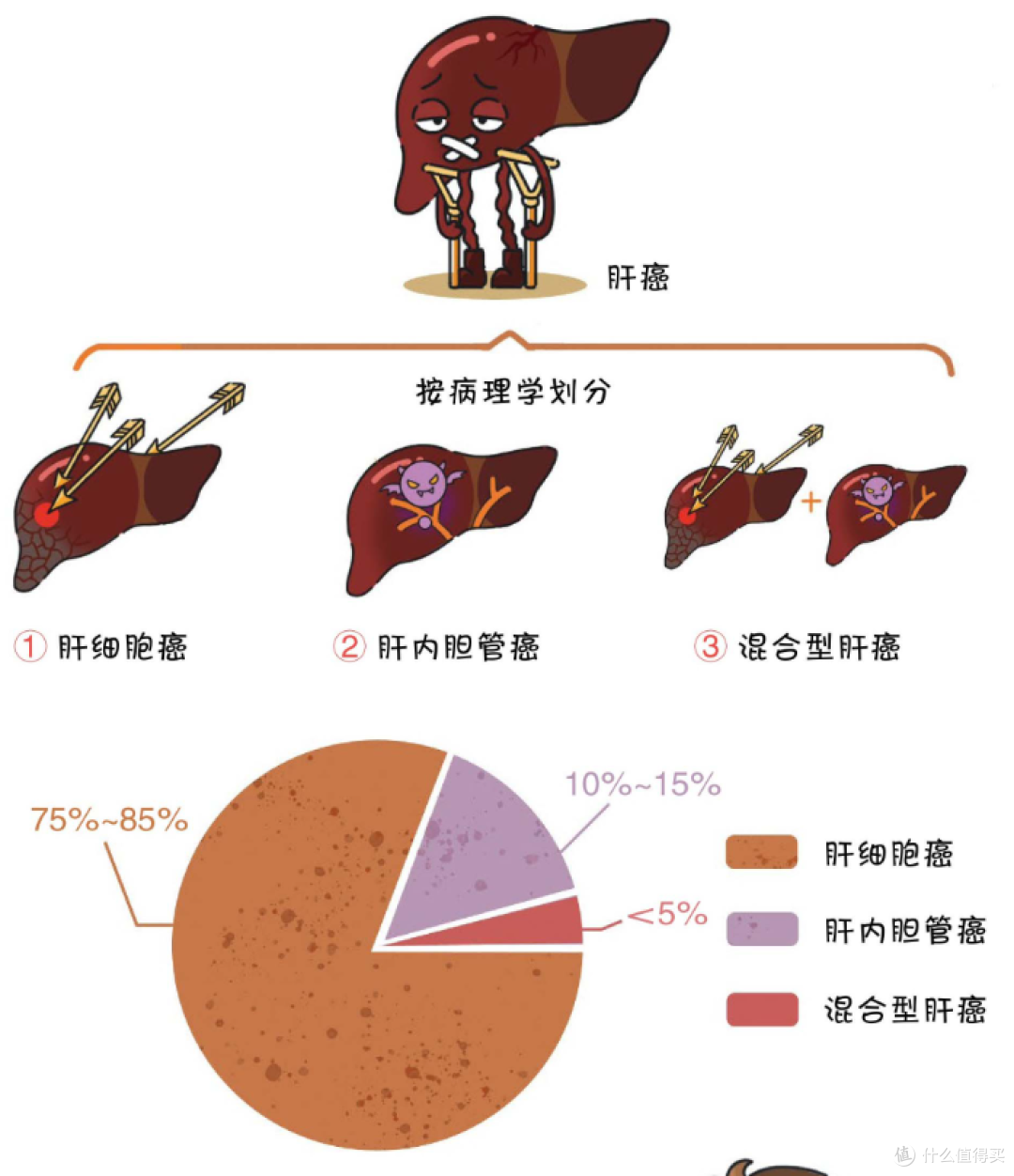 别等肝疼才重视!4类高危人群:每半年B超+甲胎蛋白筛查不能省