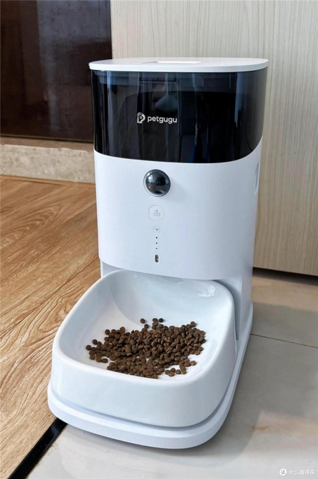 经常出差的人，最后还是给猫买了自动喂食器