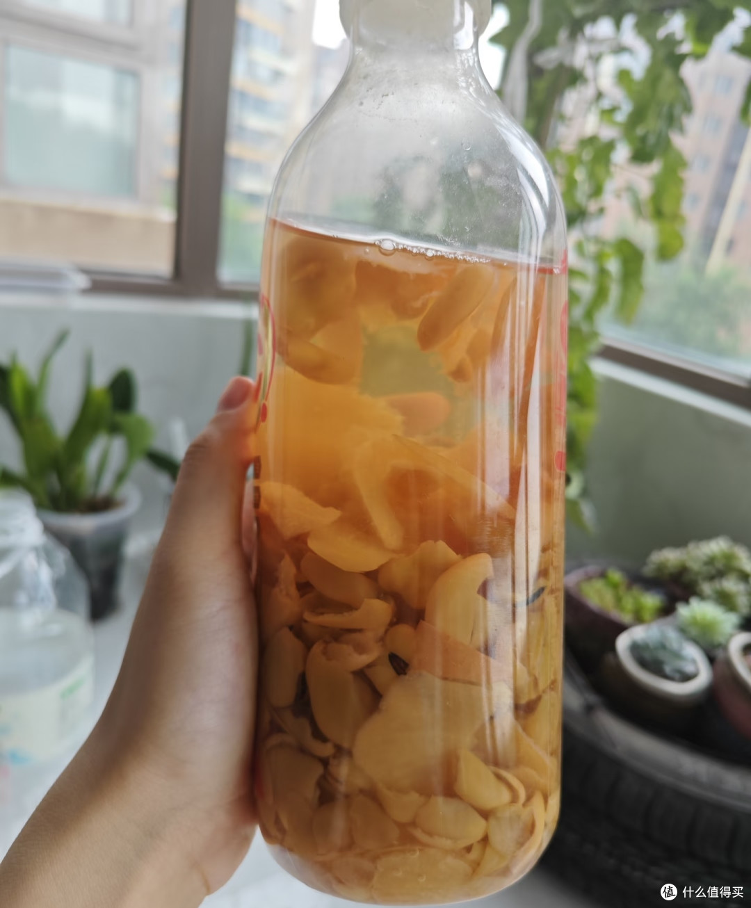 蝴蝶兰最爱3种天然肥料,1个月用1次,花苞又大又密,见花不见叶