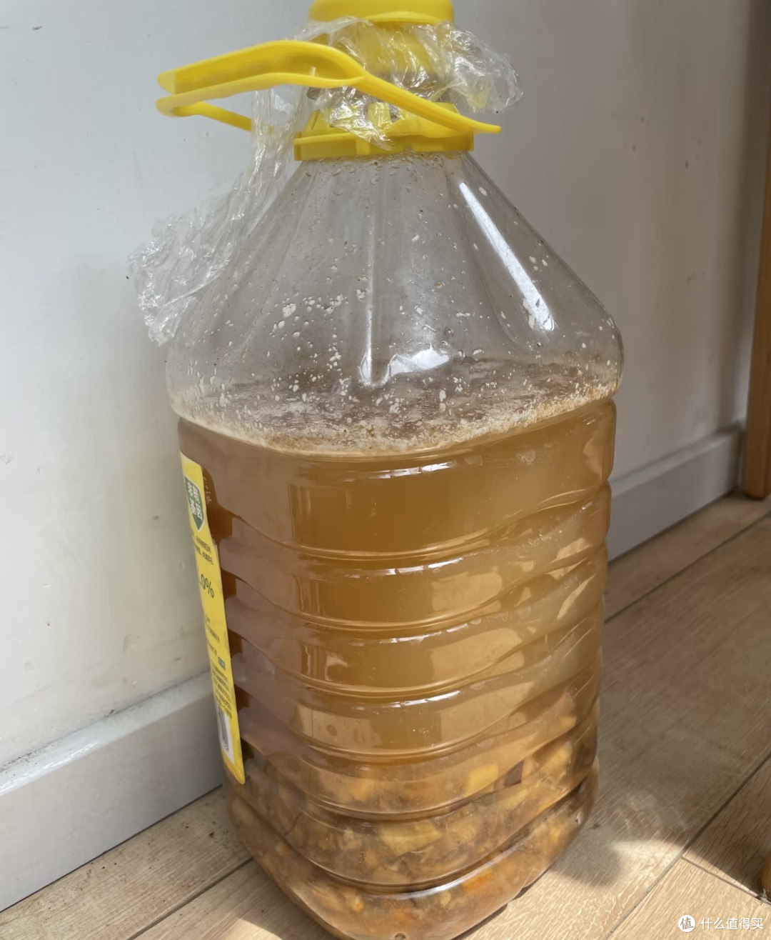 蝴蝶兰最爱3种天然肥料,1个月用1次,花苞又大又密,见花不见叶