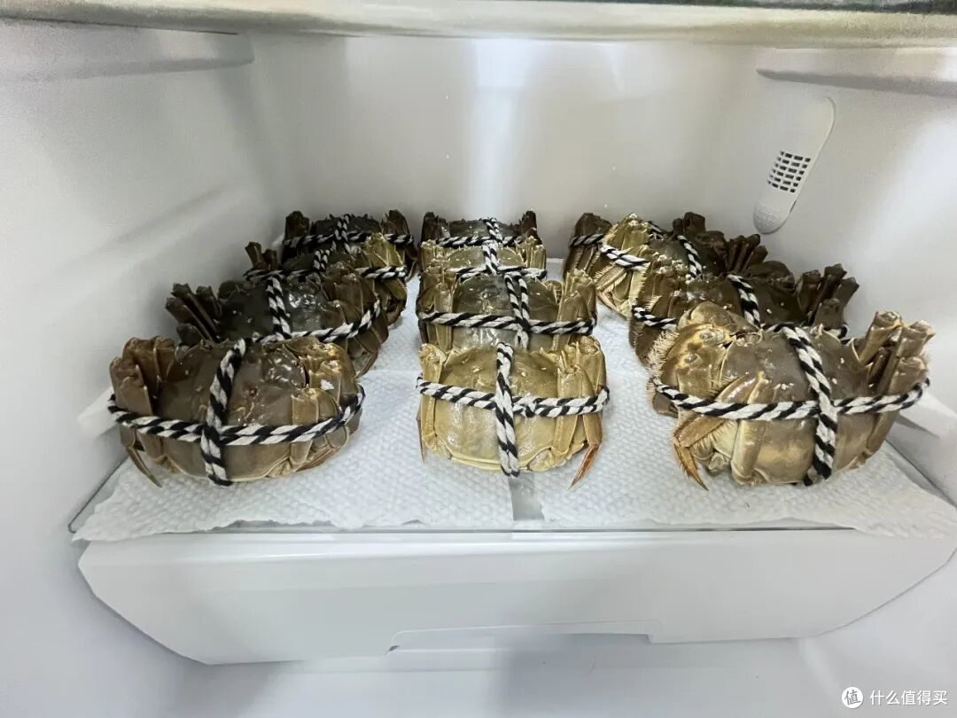 第一次被打工人的「食材预处理」惊艳到，网友：冻门永存！