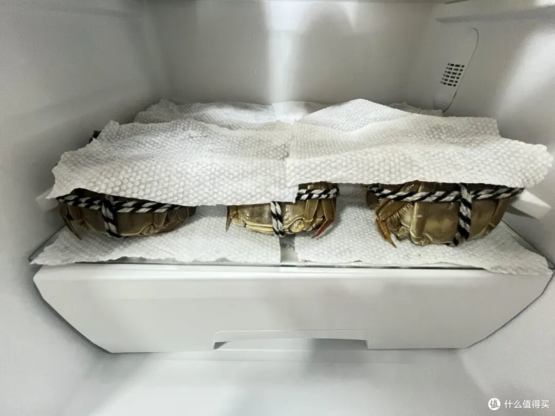 第一次被打工人的「食材预处理」惊艳到，网友：冻门永存！