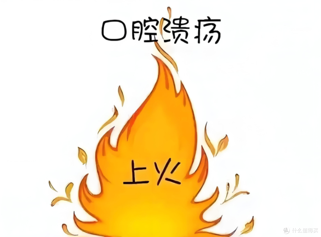 一补就上火、虚不受补?中医揭秘4大“堵人体质”,补错等于吃毒