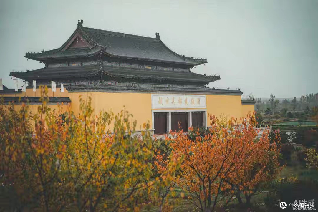 分离乳清蛋白粉怎么挑?国产产品看原料与成品数据