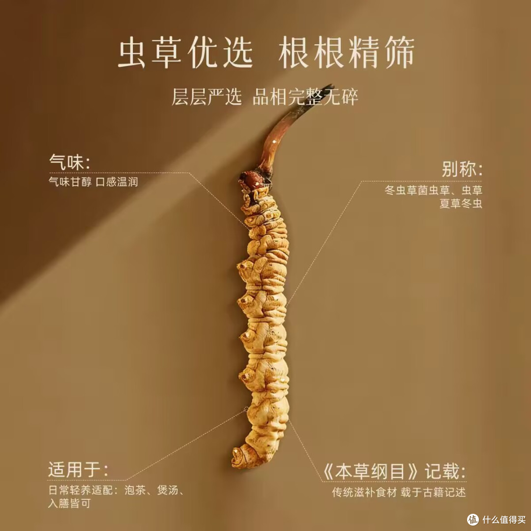 藏地道地虫草✨任十问 1g 小瓶便携装