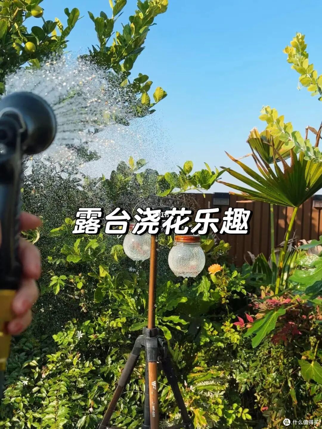 买了顶楼带"露台"的房子,朋友说我傻!我却胜似住别墅,谁懂啊!