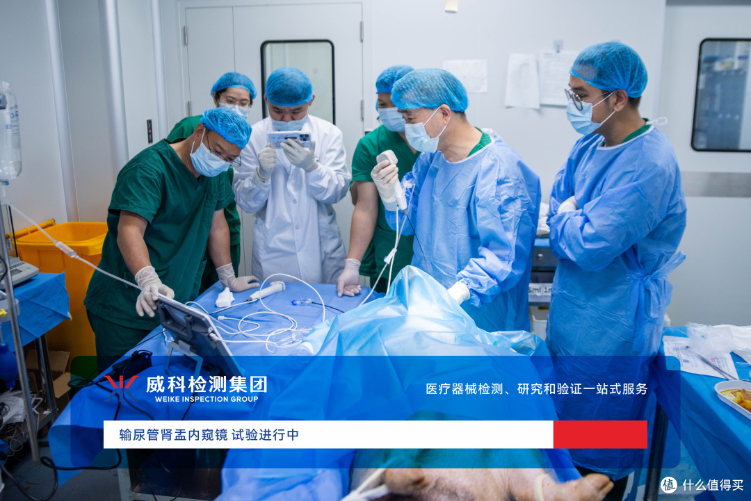 医疗器械致癌检测|毒理学风险评估与动物试验完整策略解析