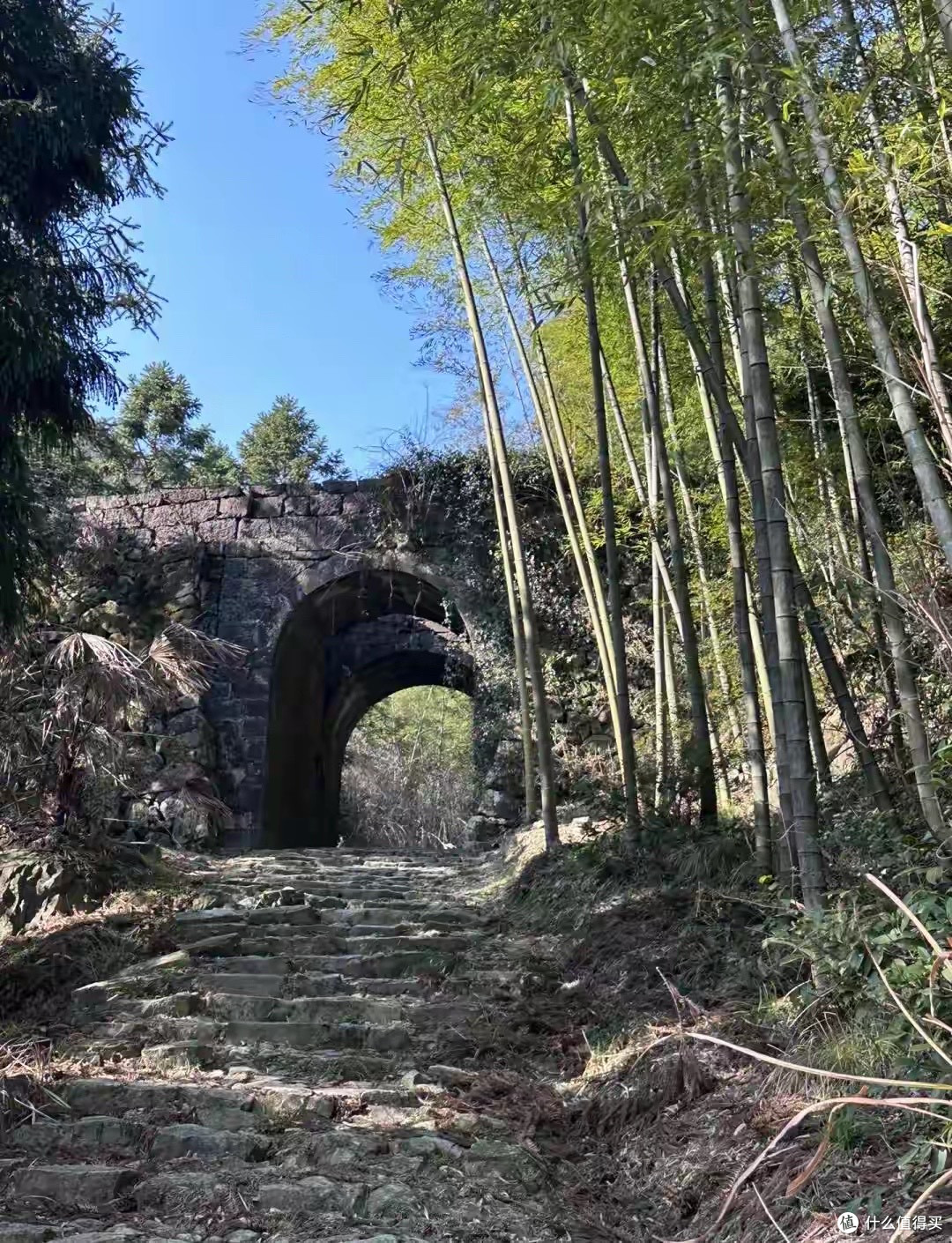 买高纯rTG鱼油先看哪四项?产品按选购清单逐一比较