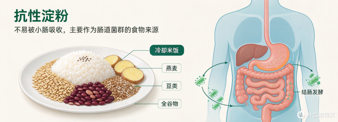 脂肪肝最怕的碳水找到了,每天 40 克,4 个月肝脏脂肪少一半?