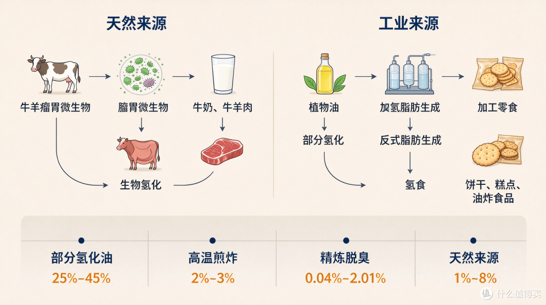 文档生成文章插图片 (2).png