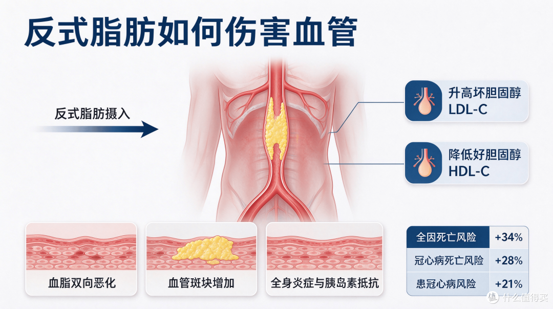 文档生成文章插图片 (1).png