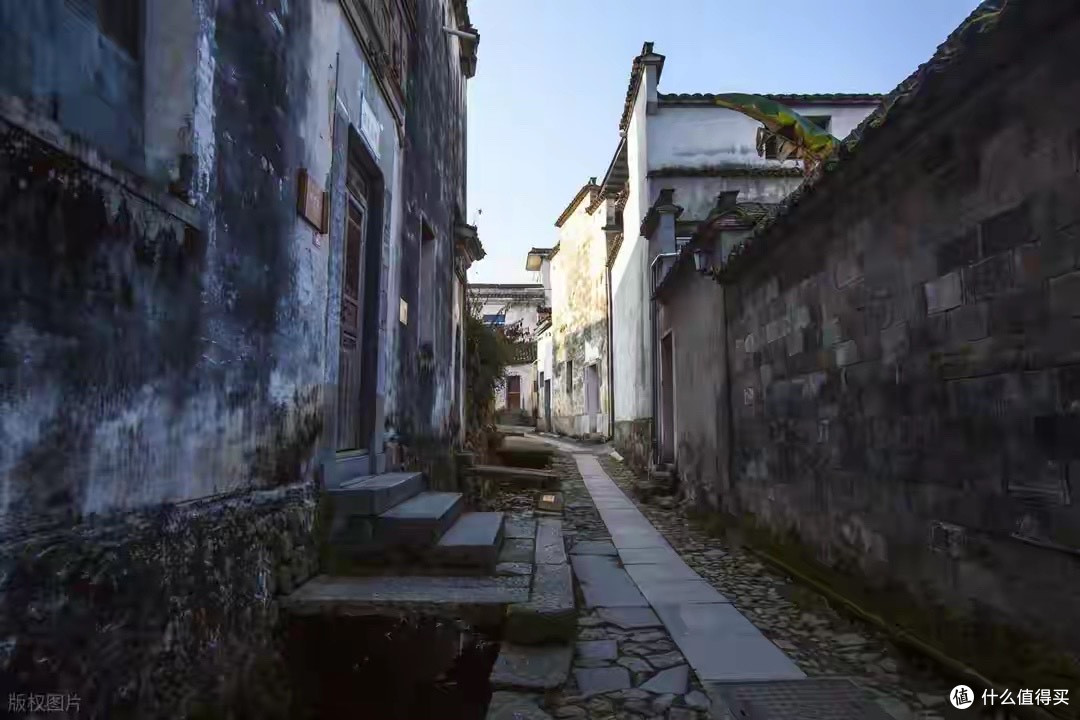肠胃变稳定不是一夜之间 几款益生菌使用感受整理