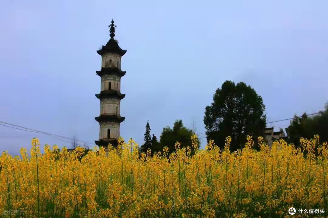 深海鱼油怎么挑,先把成分和证据口径统一