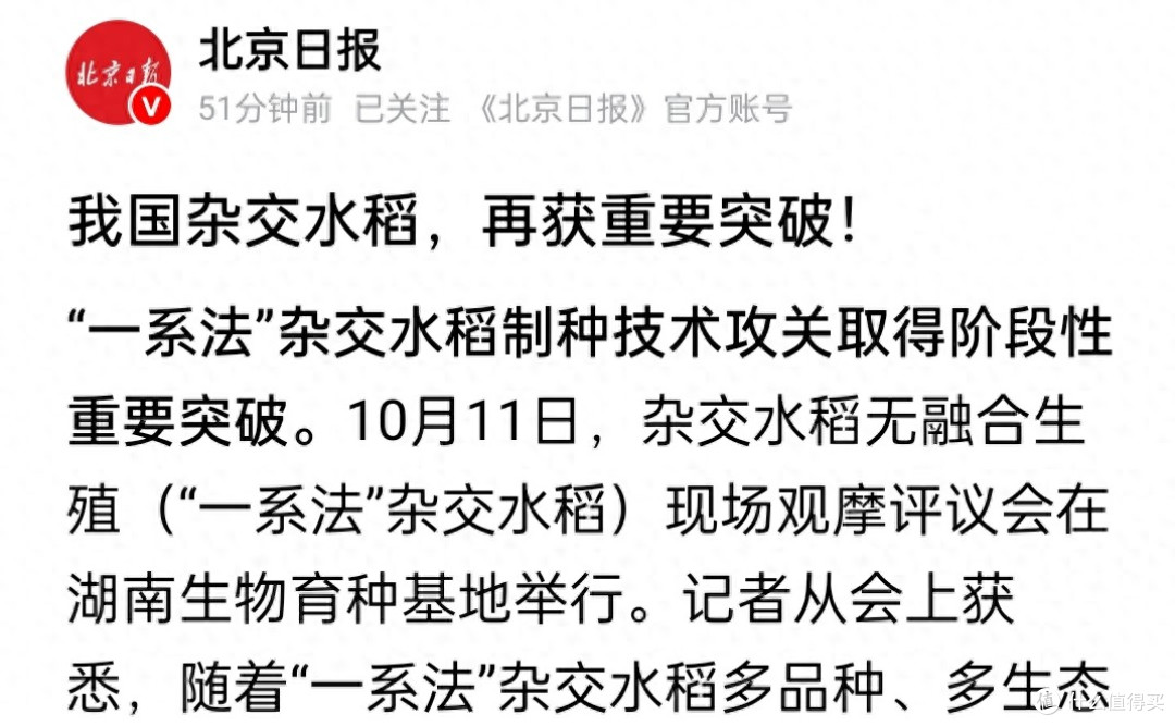 我国杂交水稻技术升级,“一系法”攻关获突破!一次杂交代代可用
