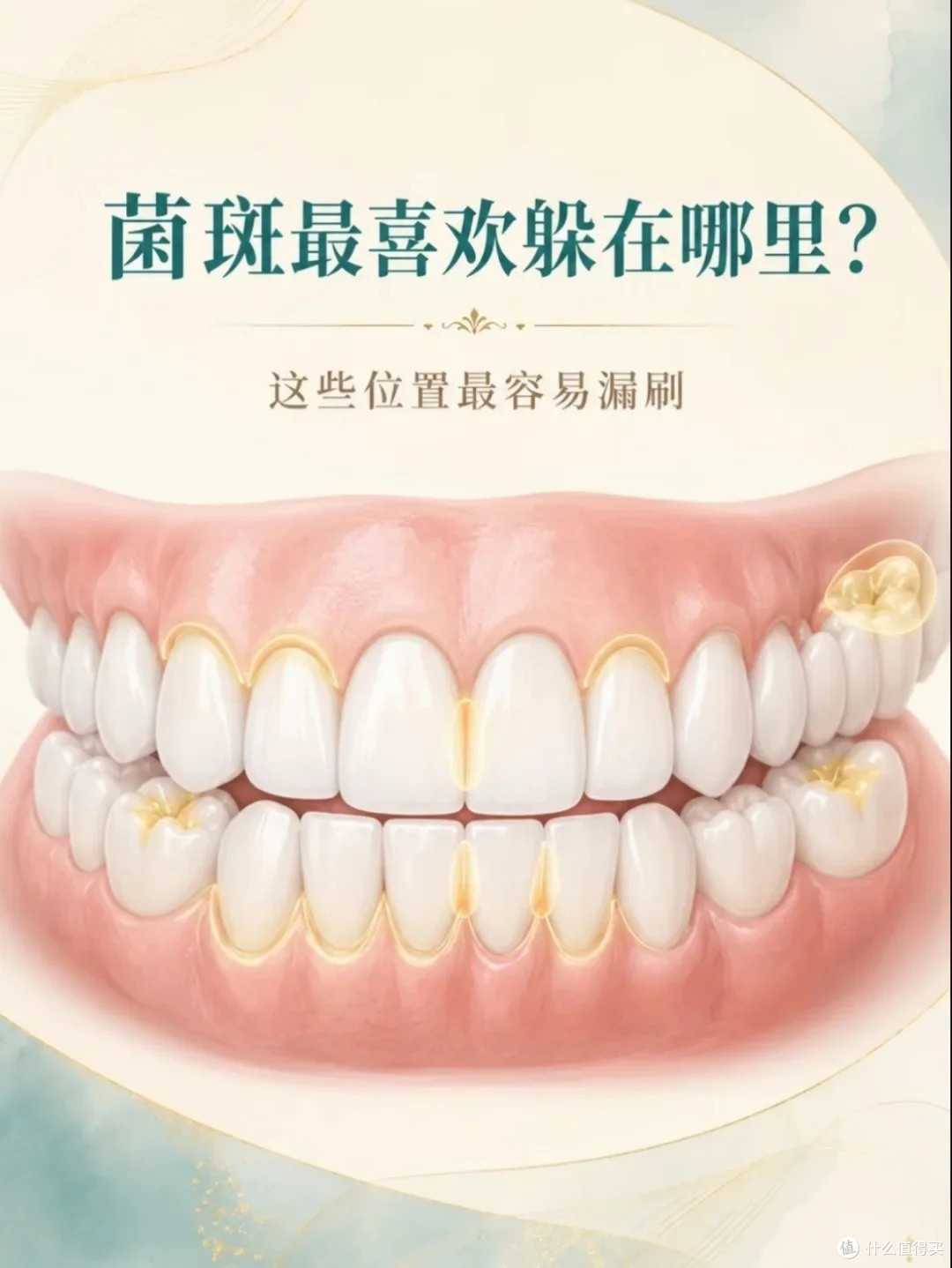 刷了十几年牙,才发现这些坑一直在踩