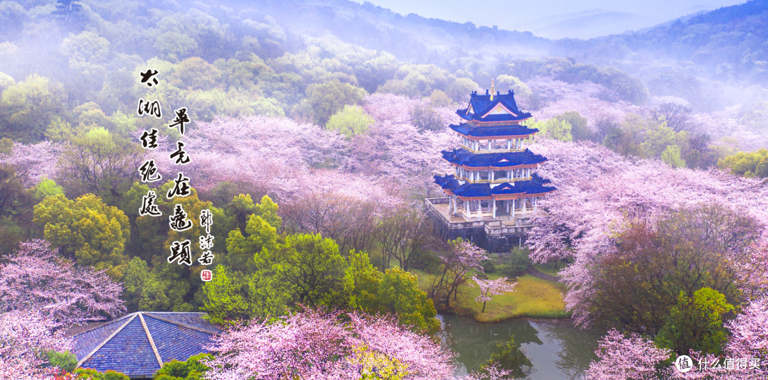 赏樱之外,鼋头渚还有一座岛和一群冬天的鸟