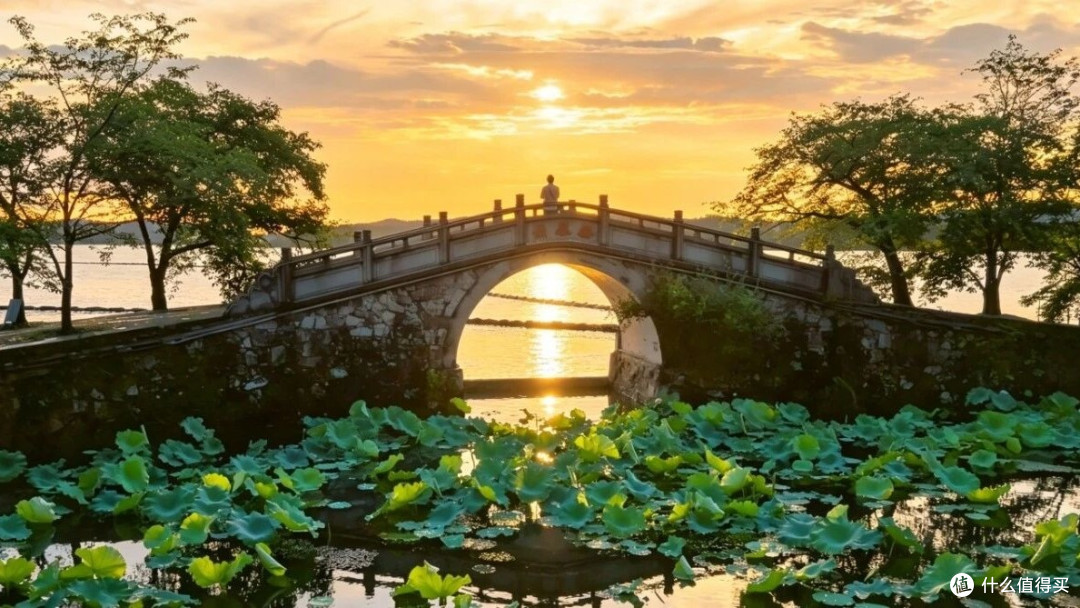 赏樱之外,鼋头渚还有一座岛和一群冬天的鸟