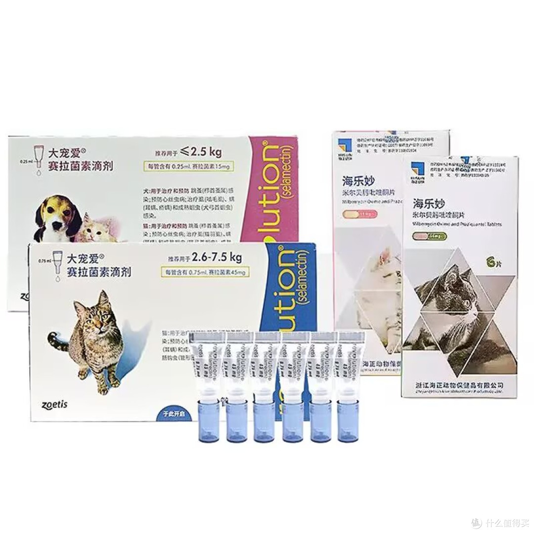 养猫必做驱虫功课✅