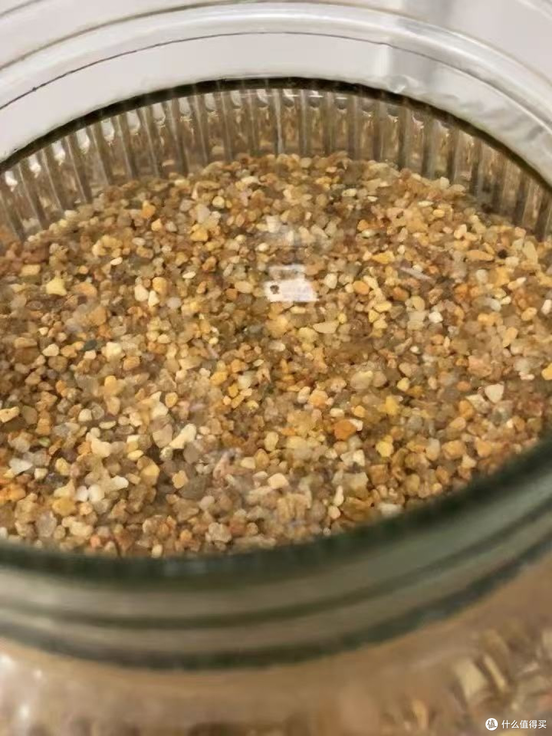 鱼缸铺沙，粗细决定你能养什么
