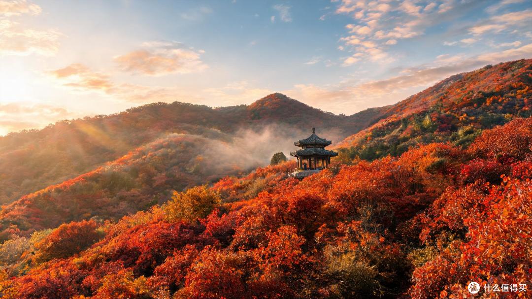 香山红叶的主角根本不是枫：黄栌红了八百年