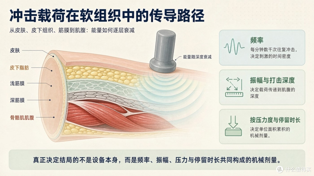 同样是使用筋膜枪,为何有人受伤,有人受益?