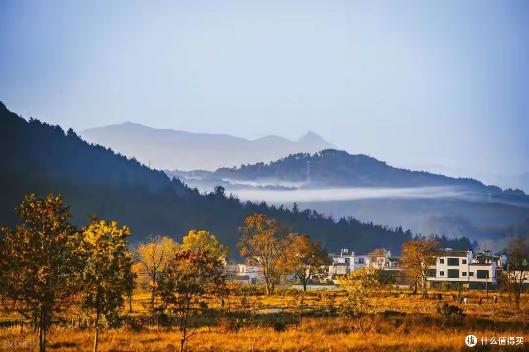轻运动人群蛋白粉怎么选？七款产品比较配方、糖脂与便携性