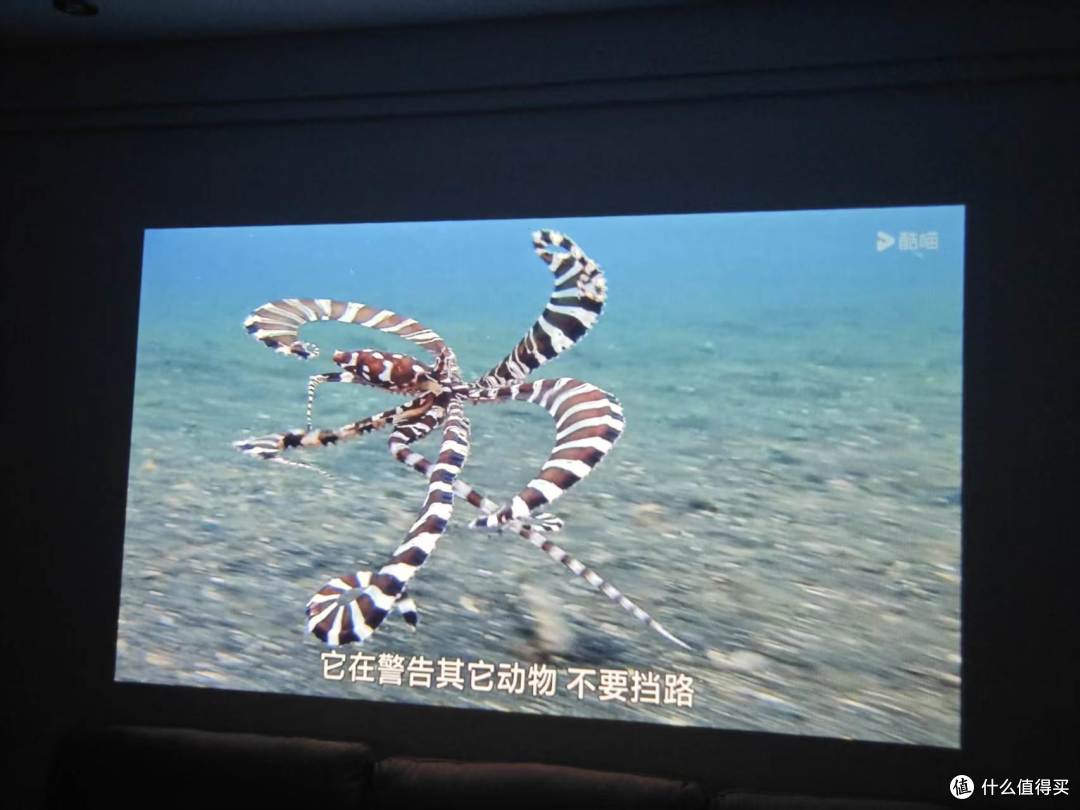 几百块买到BOE屏+620CVIA高亮?这台投影仪凭什么敢叫正规军