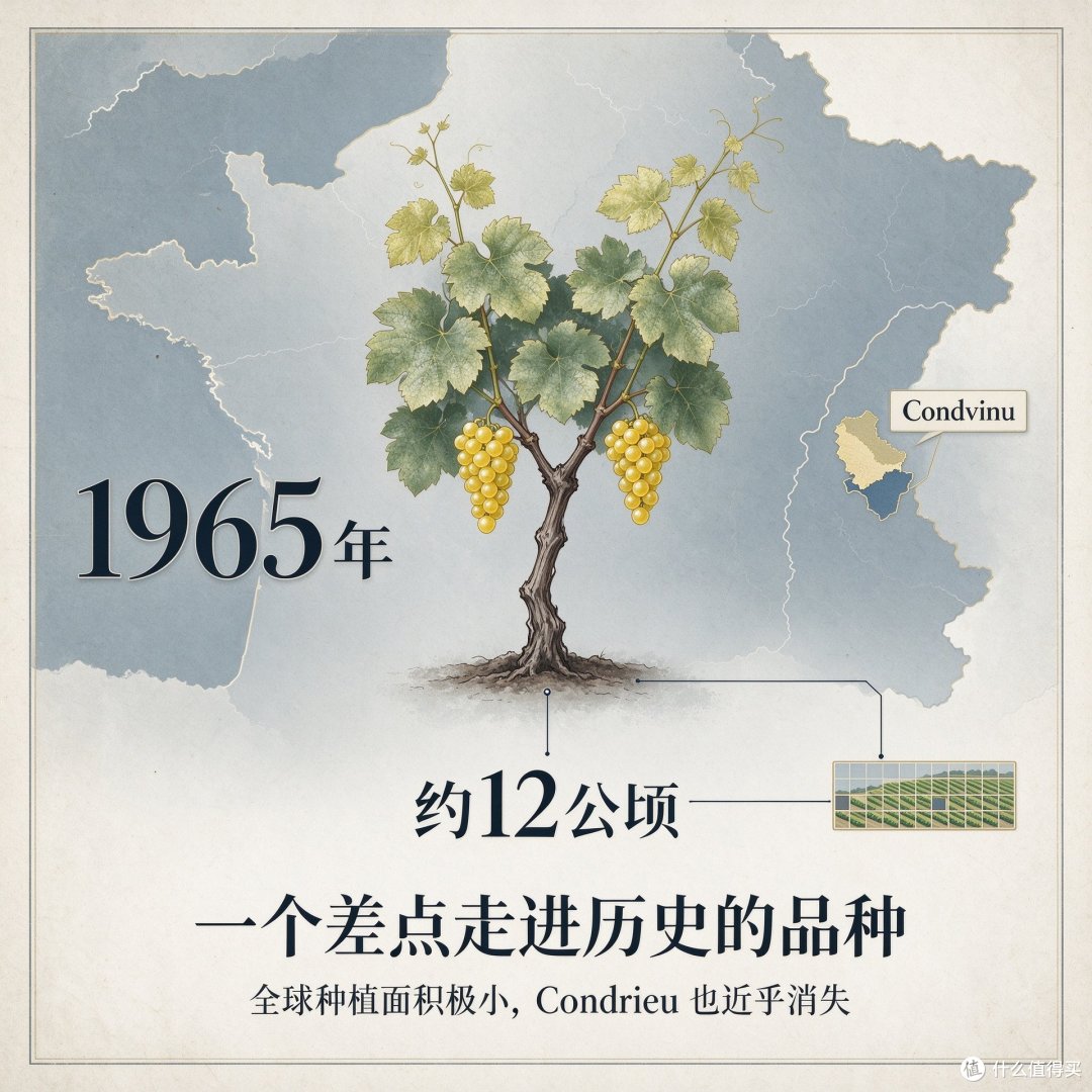 维欧尼,从8公顷到16000公。