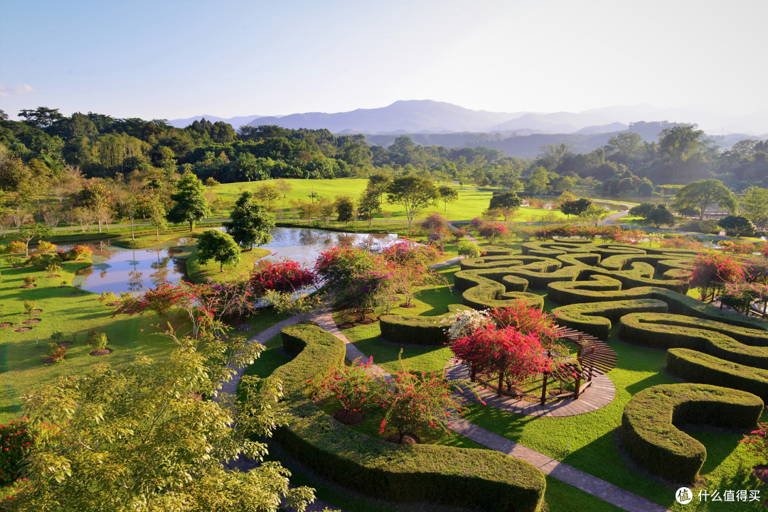 逛遍西双版纳热带植物园，这5条建议不会过期