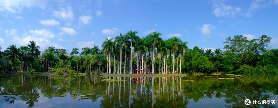 逛遍西双版纳热带植物园，这5条建议不会过期