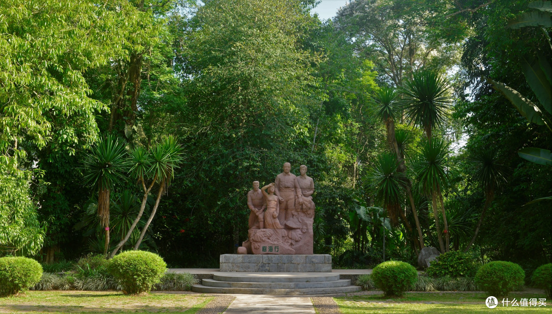 逛遍西双版纳热带植物园，这5条建议不会过期