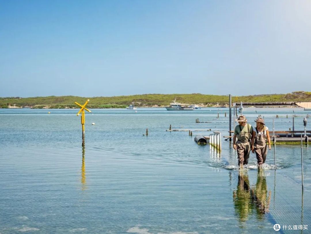 ● Coffin Bay, Eyre Peninsula, South Australia  📷 / © Tourism Australia