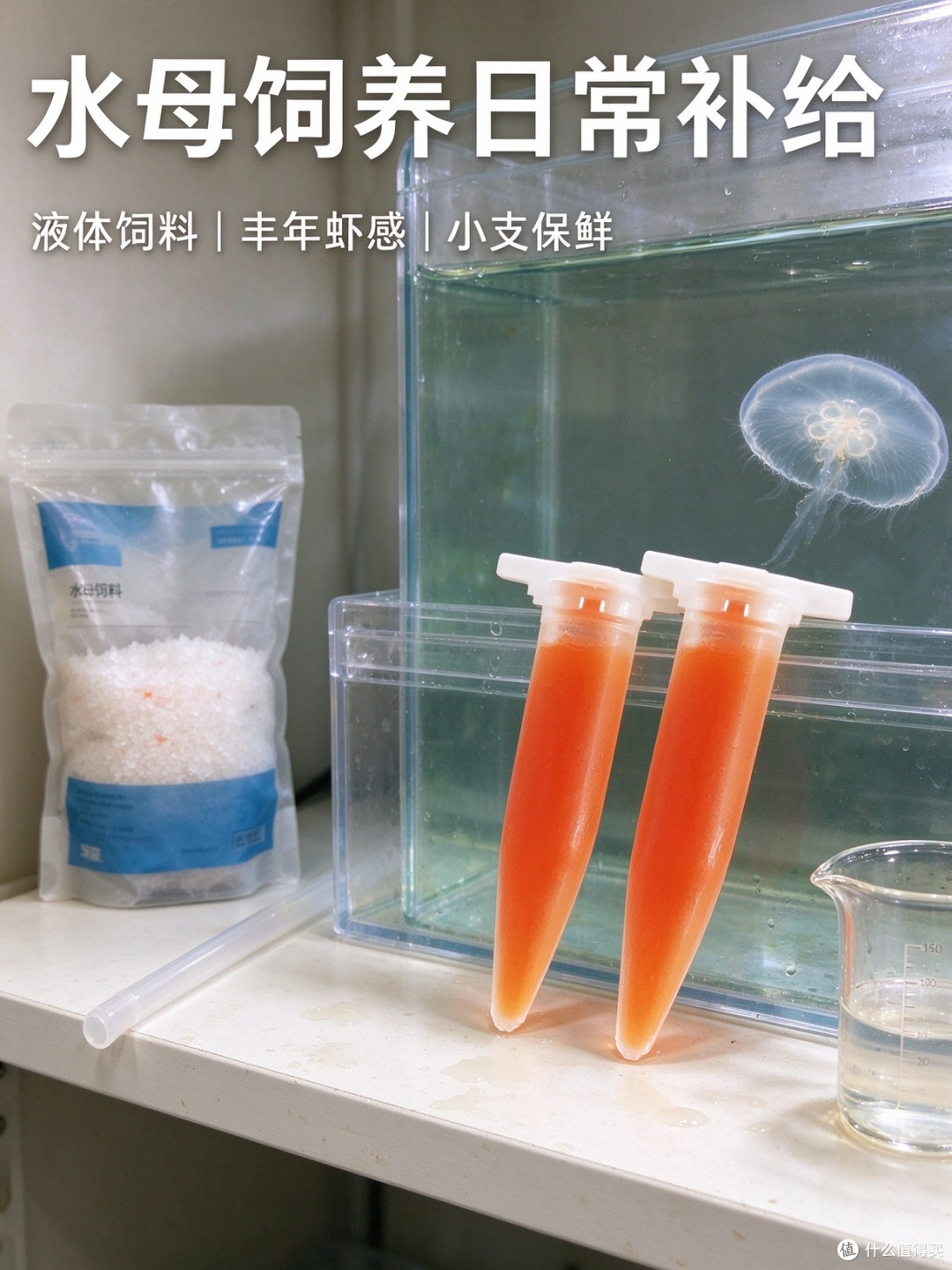 丰年虾饲料水母吃得适口