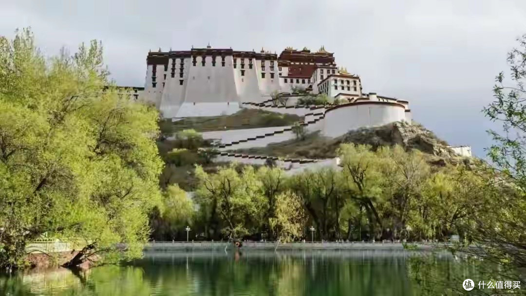 蛋白粉主流品牌怎么判断?五类蛋白路线选购步骤拆解