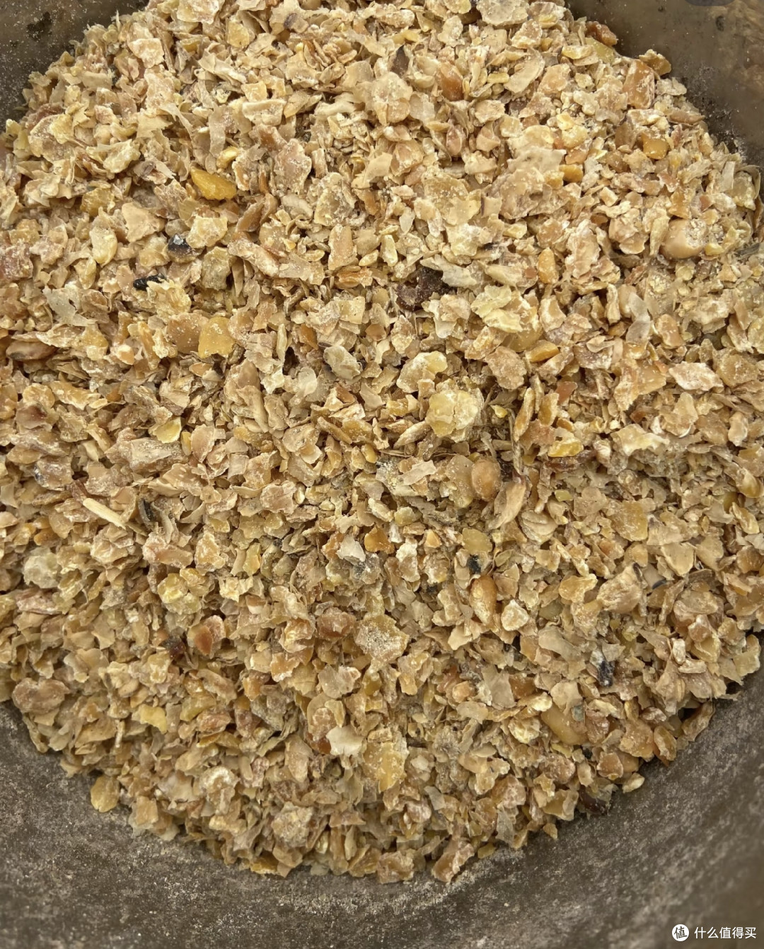 豆饼肥这样发酵使用,蝴蝶兰一茬接一茬冒花苞,省钱还不烧根