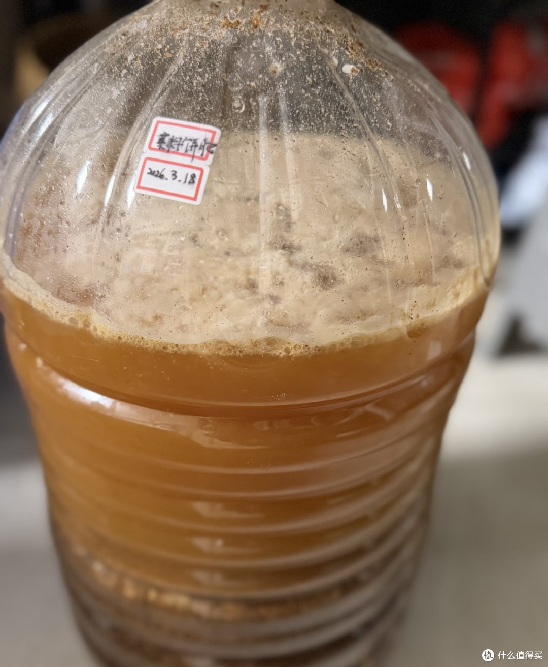 豆饼肥这样发酵使用,蝴蝶兰一茬接一茬冒花苞,省钱还不烧根