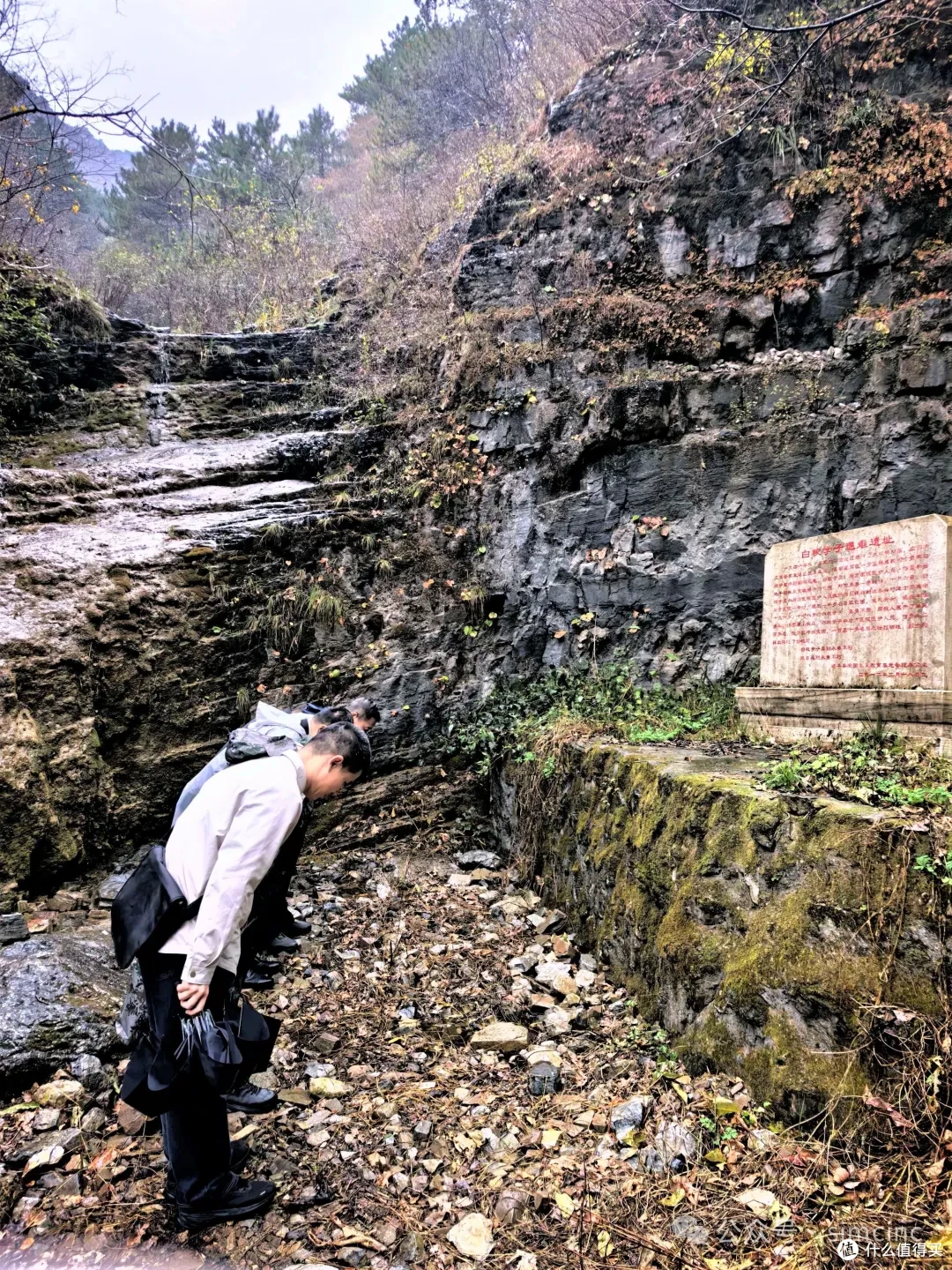 第九届中加友好·白求恩枫叶季在河北顺平成功举行