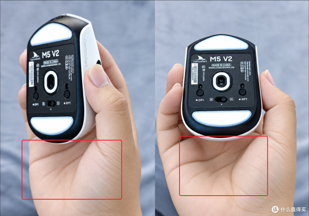 不是哥们，这鼠标是不是没长完？指握独苗|达摩鲨M5 V2
