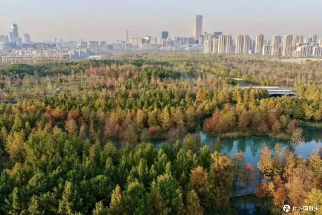 家庭日常鱼油排行榜:十款产品比较高纯rTG、配比和包装管理
