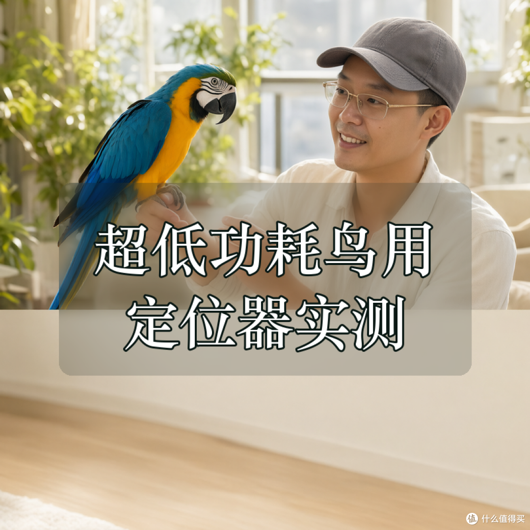 迈队长宠物鸟定位器：超低功耗鸟用定位器实测