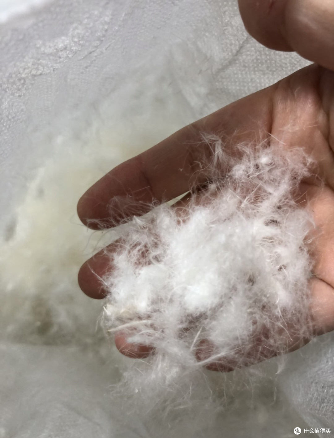 服装成分还有葱和肉？聊聊那些行话和真材实料