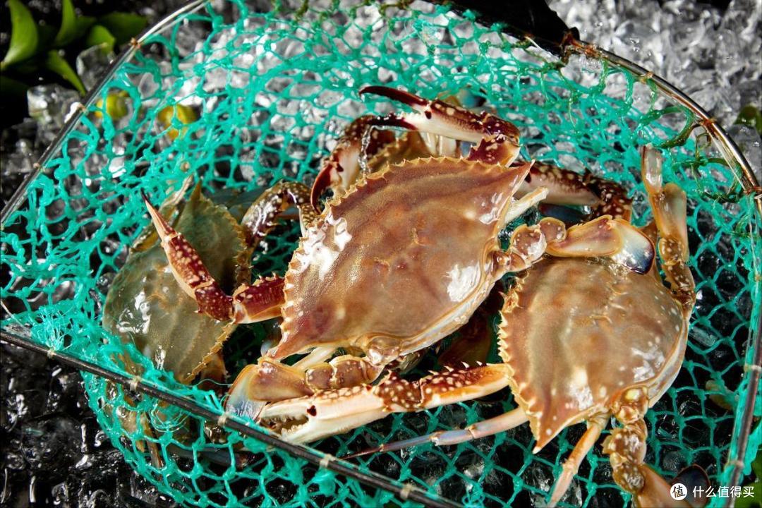 10月,吃“海鲜”首选这10样!新鲜,肥美,价不贵,错过再等一年