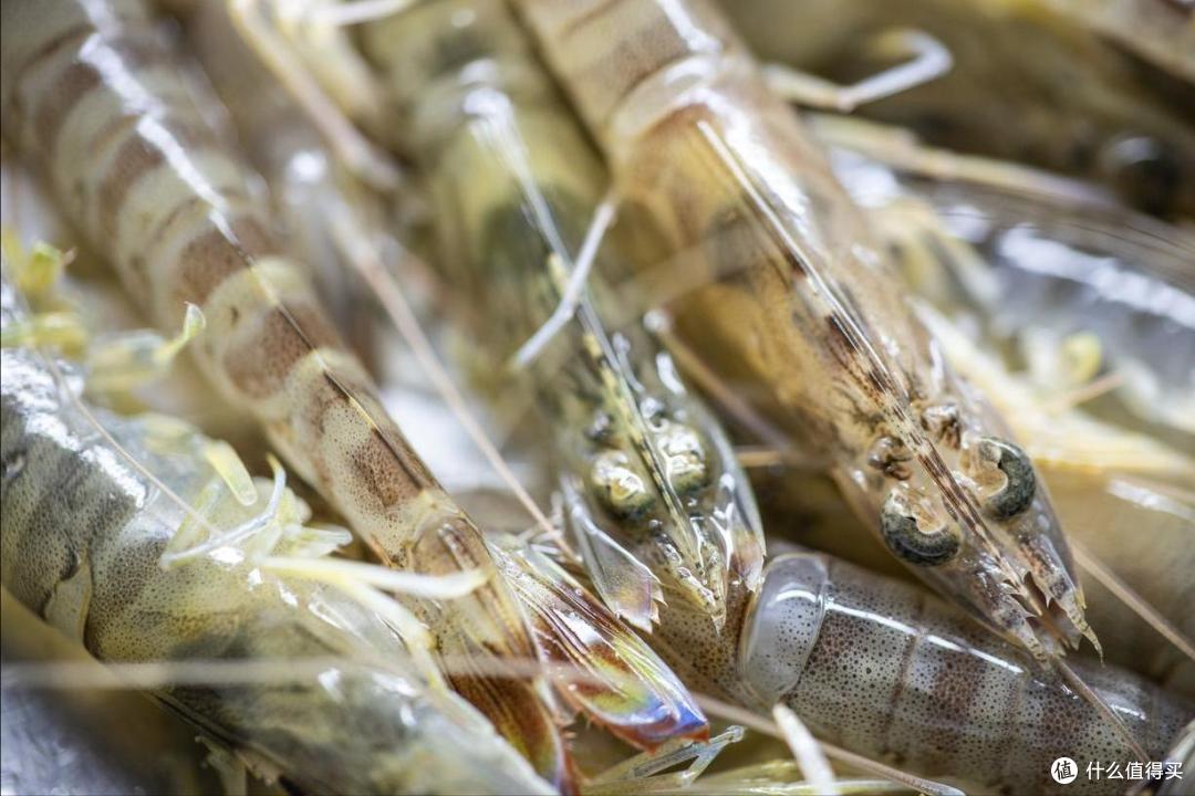 10月,吃“海鲜”首选这10样!新鲜,肥美,价不贵,错过再等一年