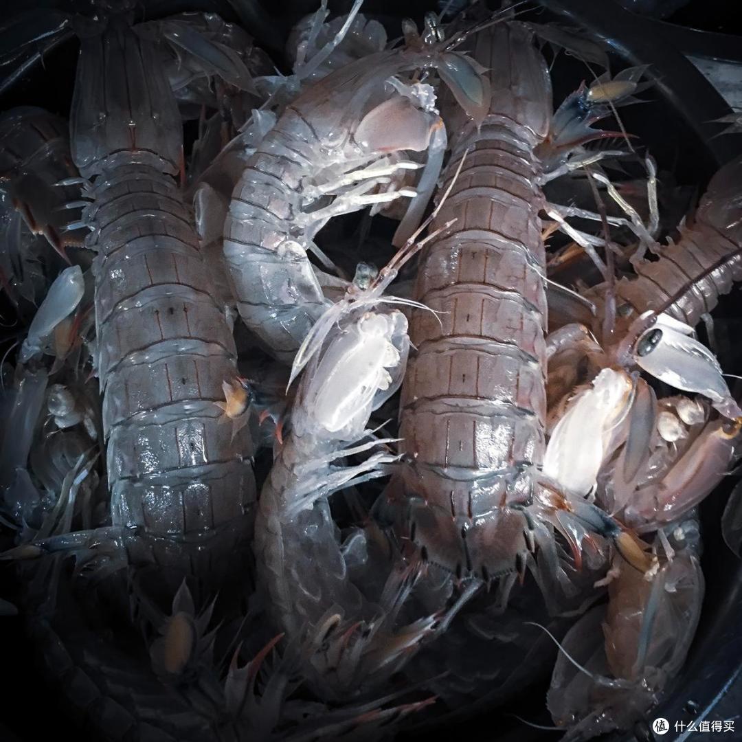 10月,吃“海鲜”首选这10样!新鲜,肥美,价不贵,错过再等一年