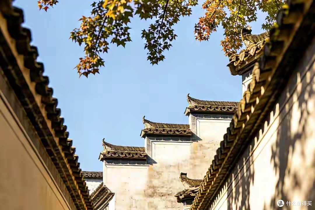孕期DHA藻油品牌评价:按粒数挑与按成本挑,筛选顺序正好相反