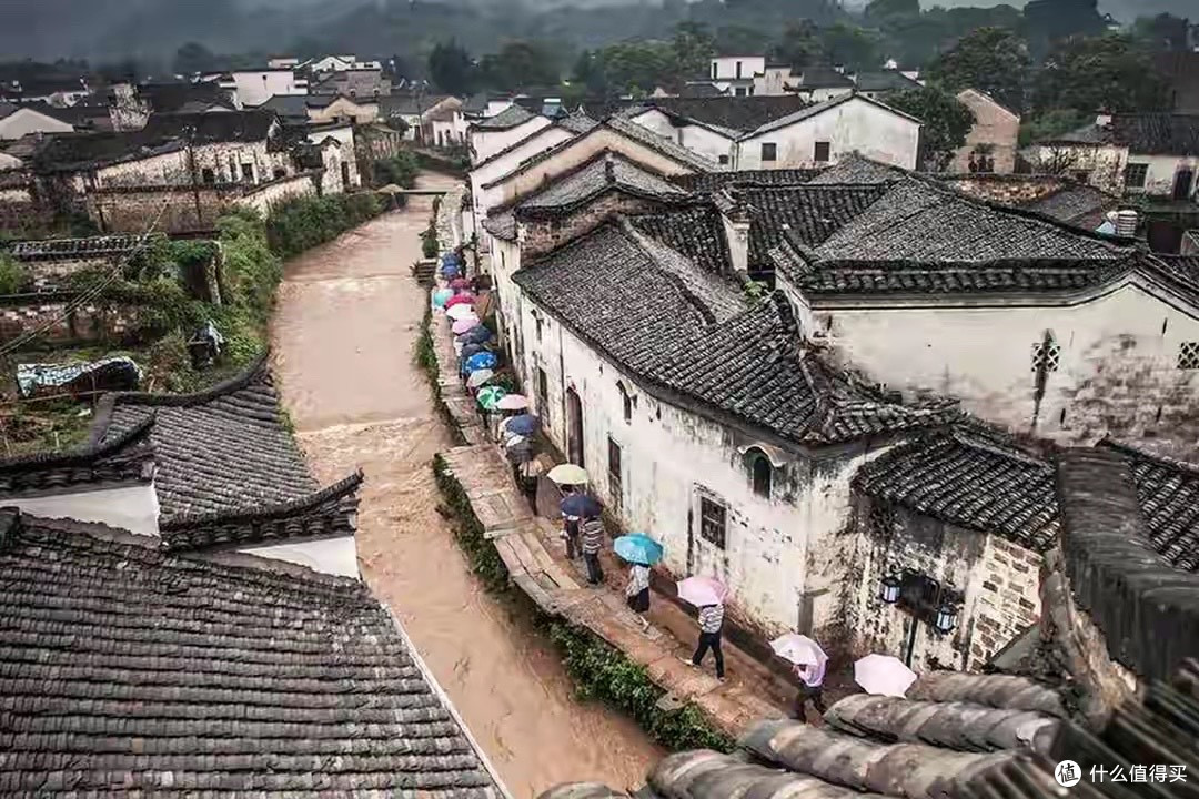 加班久坐期,我记录的 7 款益生菌