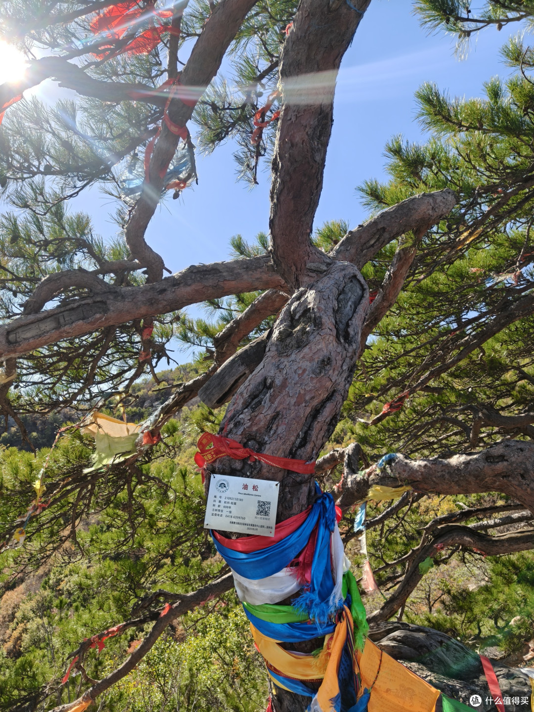 海棠依旧,知否知否?阜新蒙古族自治县海棠山风景区取经式半日游