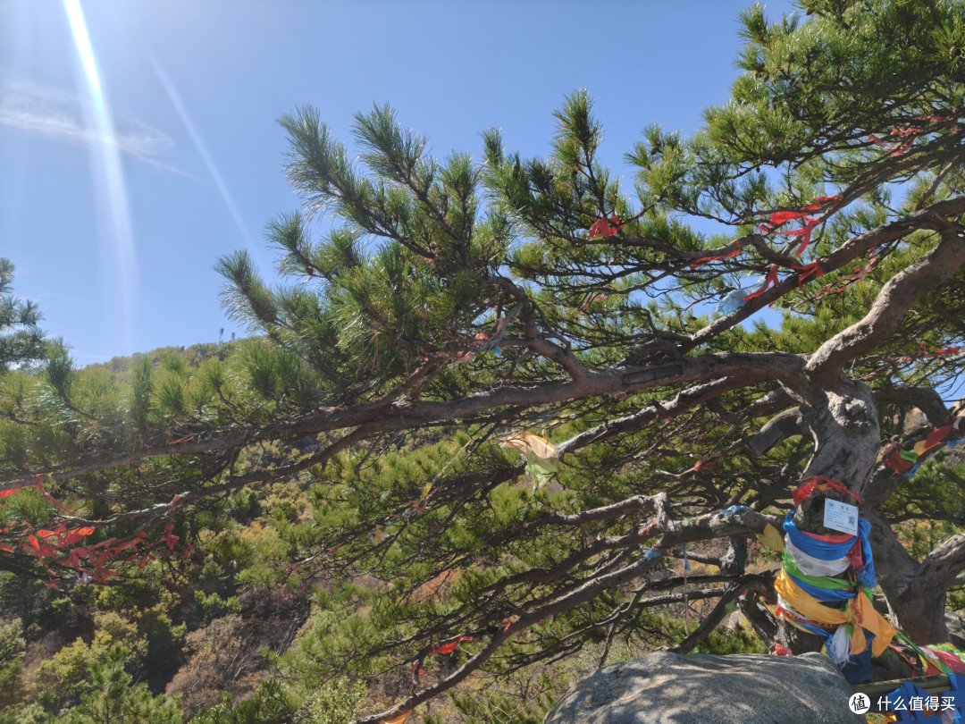海棠依旧,知否知否?阜新蒙古族自治县海棠山风景区取经式半日游