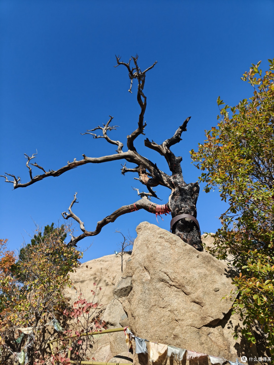 海棠依旧,知否知否?阜新蒙古族自治县海棠山风景区取经式半日游