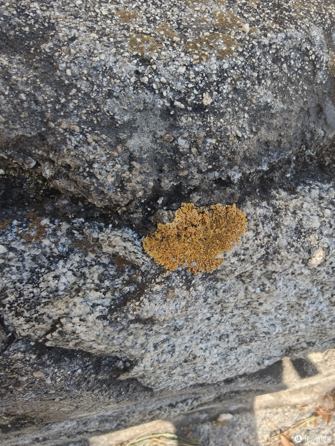 海棠依旧,知否知否?阜新蒙古族自治县海棠山风景区取经式半日游